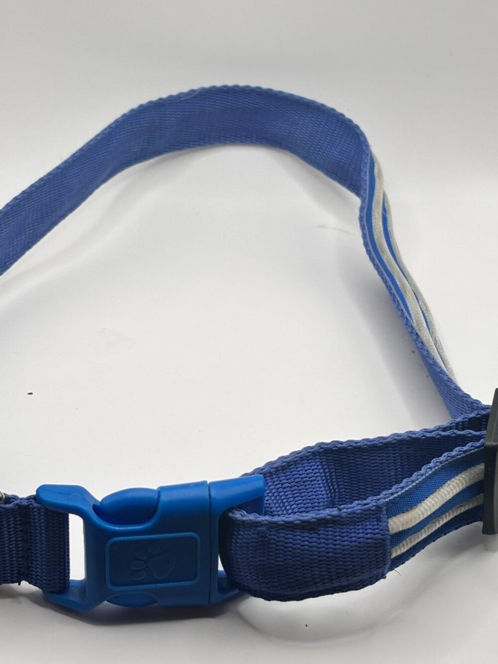 Illumiseen LED USB Rechargeable Nylon Dog Collar, Blue, XL, 21.6-27.5" neck